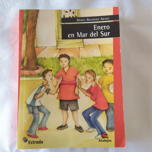 Libro Enero En Mar Del Sur