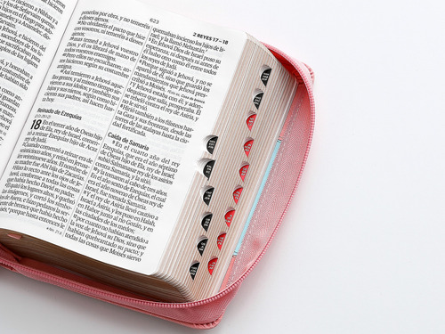 Biblia Rvr1960 Iconic Rosa Azul Im Piel Índice Cierre 12pt