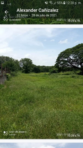 Imagen 22 de 30 de Finca 220 Ha Privadas, Estado Apure