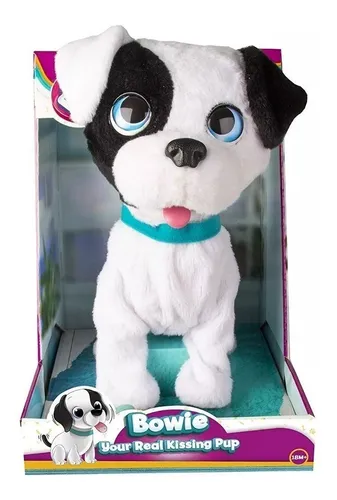 Perrito bowie sales besitos de verdad