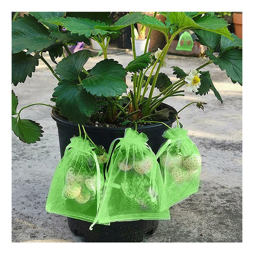 G Protector De Uva Con Cordón, Bolsa De Malla For Frutas,