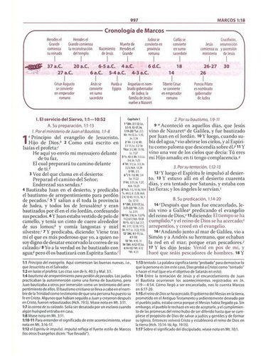 Imagen 3 de 8 de Biblia De Estudio Ryrie Dos Tonos Piel Reina Valera 1960