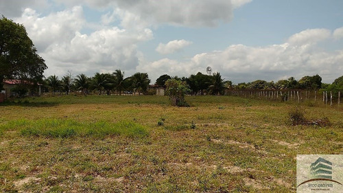 Imagem 28 de 30 de Granja A Venda Entre Monte Alegre E Brejinho