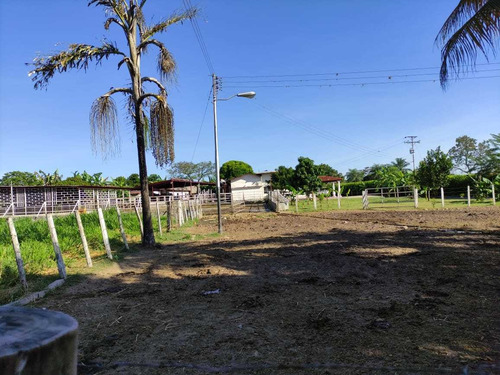 Imagen 30 de 30 de Se Vende Finca Ganadera En El Estado Barinas