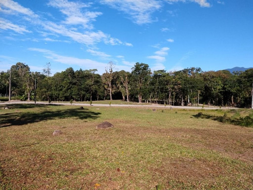 Imagem 3 de 7 de Terreno Condomínio Rosina Piazza - Te0136