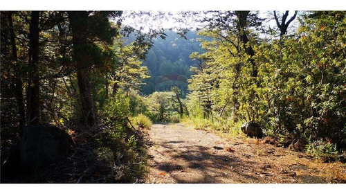 Pucon Parcela En Sector Cerduo - Oportunidad