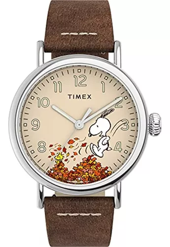 Las mejores ofertas en Caja de acero inoxidable Timex Relojes de pulsera de  cuarzo para hombre