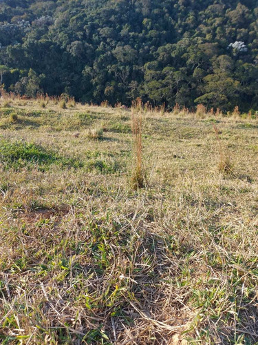 Imagem 14 de 14 de (k.a) 500m² Acesso: Apenas 3km Do Asfalto, 3km Do Posto De