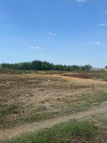 Se Vende Terreno En El Sector Redoma Los Pájaros