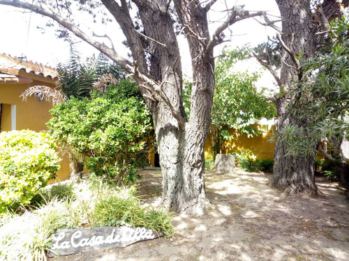 Imagen 14 de 14 de Vendo Dos Casas En Amplio Lote A Metros De La Playa