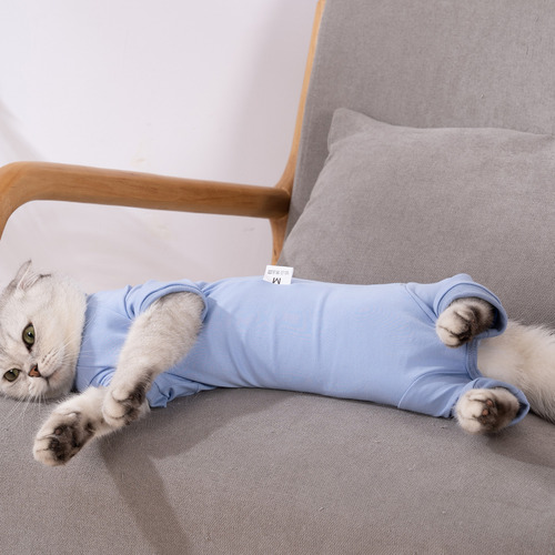 Traje De Recuperación Para Gatos Para Heridas Abdominales Y