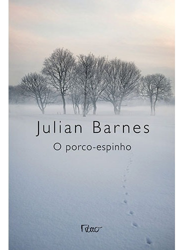 O porco-espinho, de Barnes, Julian. Editora Rocco Ltda, capa mole em português, 2012