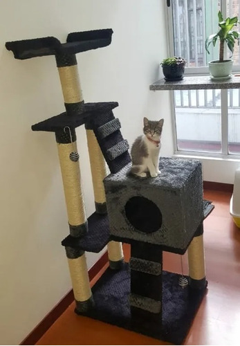 Gimnasio Para Gato + Obsequio 2 Jugu - Kg a $269000