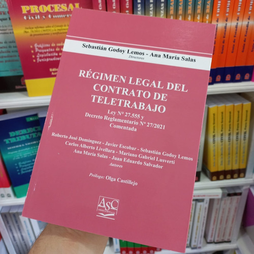 Régimen Legal Del Contrato De Teletrabajo /godoy Lemos,salas