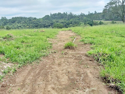 Imagem 3 de 6 de ***lote Com Preço Imperdível***