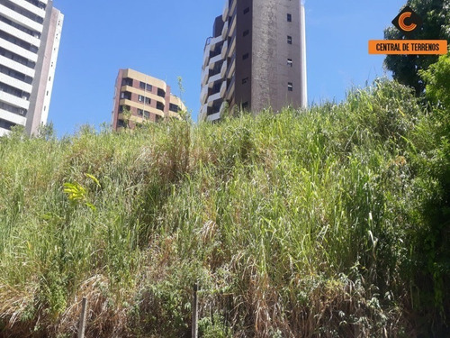 Imagem 6 de 11 de Terreno Para Empreendimentos - Te00431 - 69440812