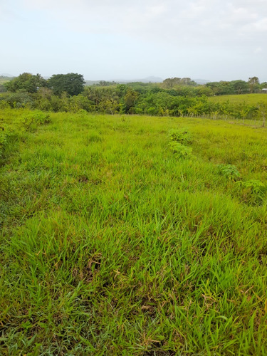 Terreno En Monte Plata Zona Ecoturistica