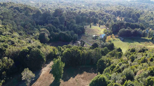 Subdivisión De Parcelas De 5.000m² A 25 Min De Puerto Varas