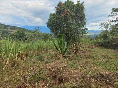 Venta De Lote En Villeta, Vereda Cune