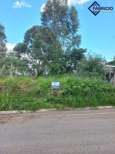 Imagem 5 de 6 de Terreno - Te00085 - 70473400