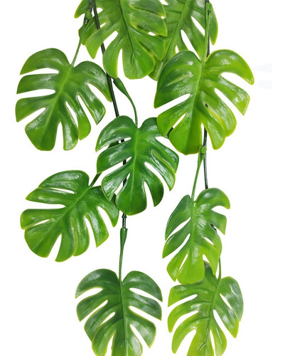 Kit 6 Pendente De Mini Costela De Adão Decoração Muro Inglês