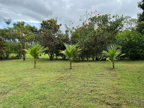 Imagen 8 de 30 de Preciosa Quinta-finca En Labrador De San Mateo De Alajuela, Todos Los Servicios