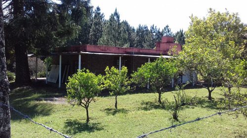 234ha Agric-frutícola-ganad Bellaunión Artigas 3 Casas Riego