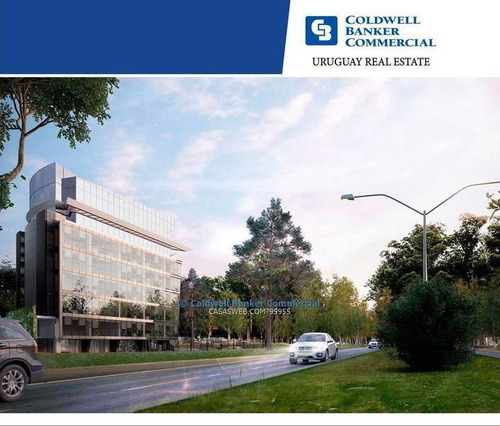 Oficina Avenida De Las Américas Alquiler