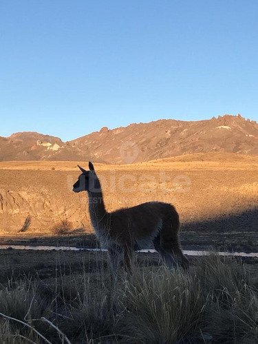 Imagen 5 de 13 de Hermosa Fraccion Sobre El Rio Limay 33 Hectareas - Bariloche