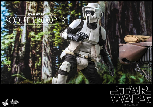 Scout Trooper 1/6 Star Wars Return Jedi Hot Toys Mms611