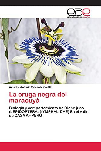 La Oruga Negra Del Maracuya