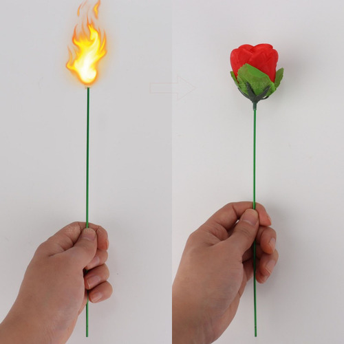 El Fuego Se Convierte En Rose Firetrick Flame Que Aparece Fl