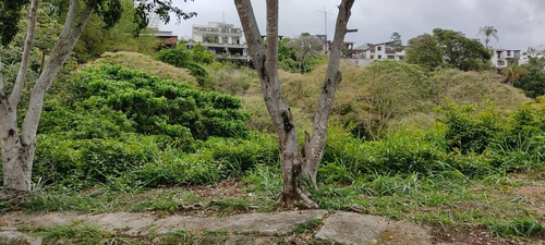 Imagen 6 de 7 de Vendo Parcela De 735m² - Lomas De La Trinidad - Baruta- Eg