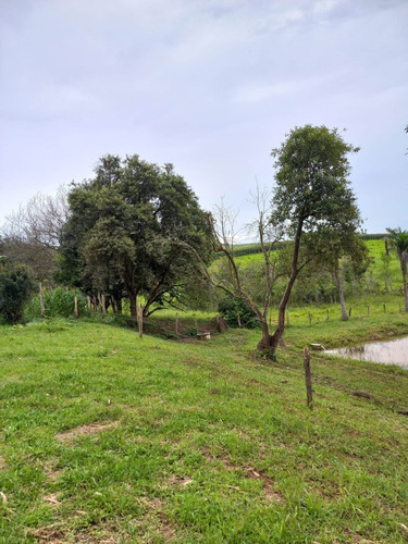 Imagem 11 de 30 de Chácara 28.340m2, Rica Em Água Com Açude, Árvores Frutíferas, Casa Sede Com 182m2, 2 Dormitórios, 1 Suíte, Curral, Pomar, Pasto, Poço Caipira - Ch00201 - 70578843