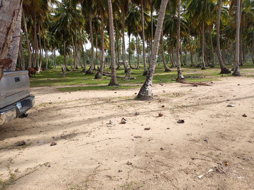 Se Vende 1,850,000 M² - En La Playa El Limón - Samaná