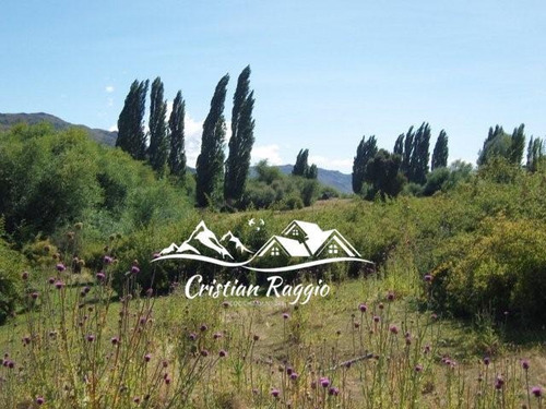 Imagen 13 de 30 de Terrenos De 1/2 Ha C/75 M Costa Lago Pellegrini Sobra Ruta En Cholila
