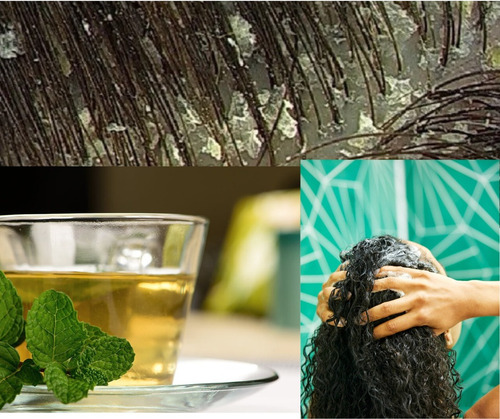 120 Gr Caripel Infusión Natural Herbal Para Caspa Y Caída
