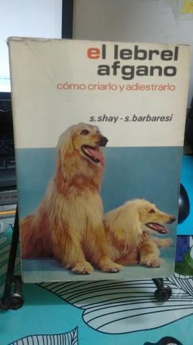 El Lebrel Afgano // S. Shay, S. Barbaresi 