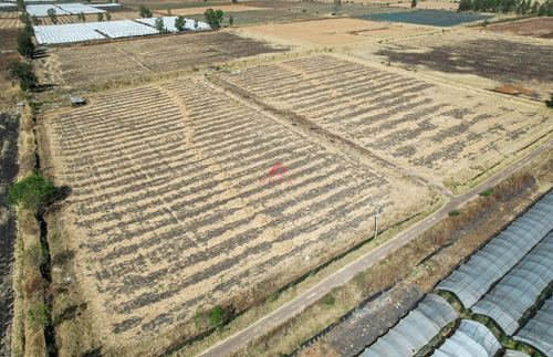 Terreno En Venta Ribera De Chapala, Jalisco