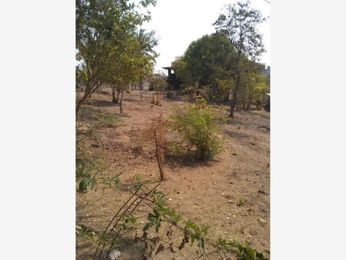 Imagen 3 de 6 de Terreno En Venta Cruz De Corazón