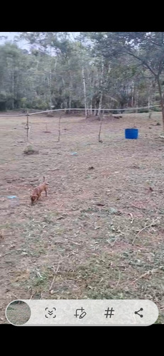 Vendo Um Sítio De 49.000 Metros Com Represa Dentro