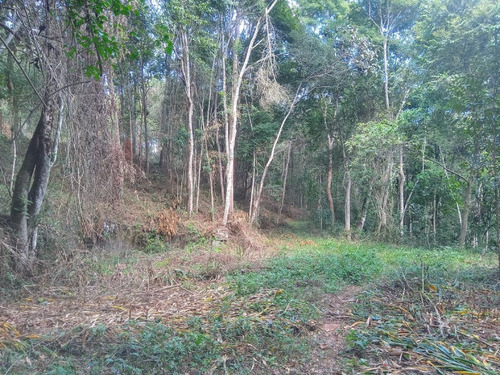 Imagem 15 de 30 de Excelente Terreno Á Venda De 16.500m2 Em Condomínio Rural Clube Juca Vieira C/ Área De 16.500 M², C/ Córrego De Água Cristalina Nos Fundos! - Oci0101 - 69485109