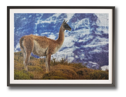 Imagen 4 de 4 de Puzzle 1.000 Piezas Animales: Guanaco Fauna Chilena