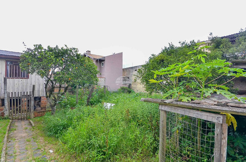 Imagem 23 de 30 de Terreno - Residencial - 923808