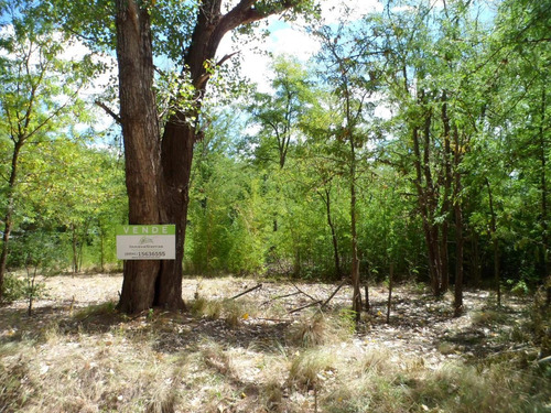 Imagen 21 de 24 de Venta Excelente Terreno 2.400 M2 San Huberto, Nono, Traslasierra