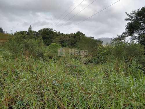 Terreno Rural Para Chácara À Venda Em Navegantes/sc - 1399c