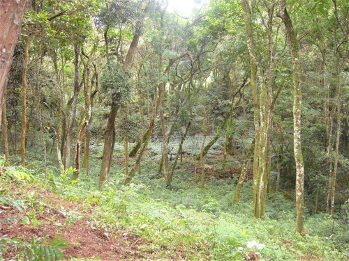 Imagem 1 de 11 de Terreno À Venda, 1472 M² 0 - Granja Viana - Carapicuíba/sp - Te9125