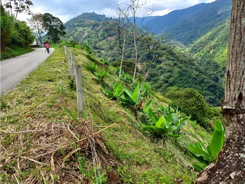 Se Vende Lote A Borde De Via Principal Barragan Genova