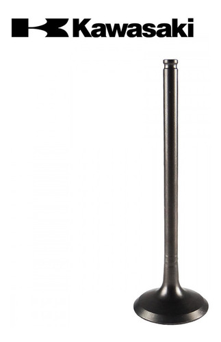 Valvula Admissão Original Klx450 08-21 12004-0029