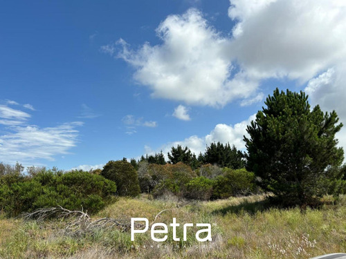 Terreno En Barrrio Santa Monica Northbeach